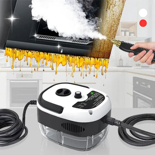 Nettoyeur vapeur portatif haute température 2500 W 